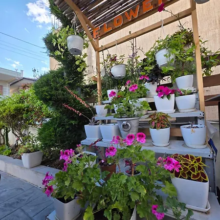 Soleil Vlora